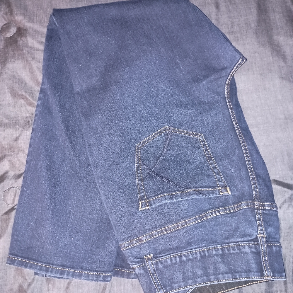 Lane Bryant Jeans